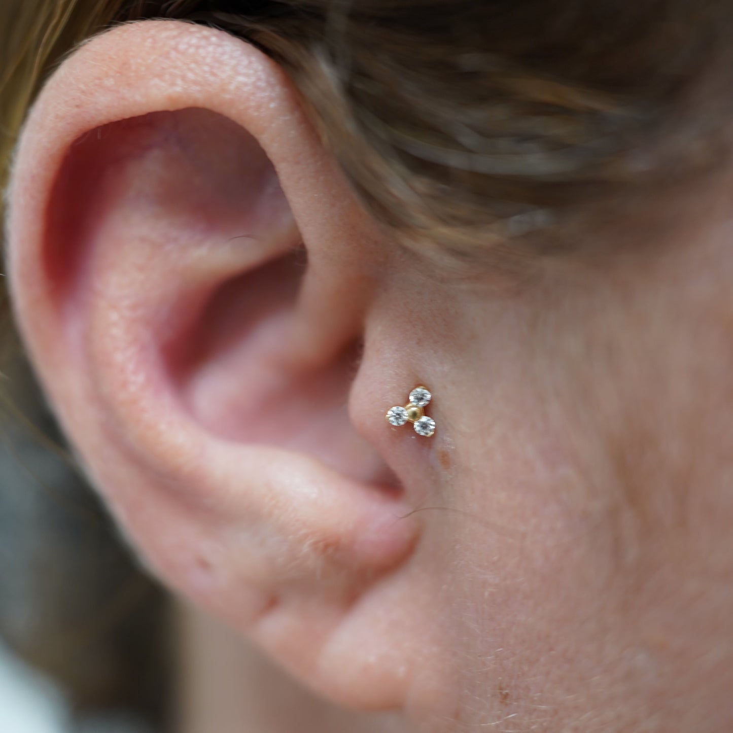 Ear Piercing Service // Perforación de Orejas