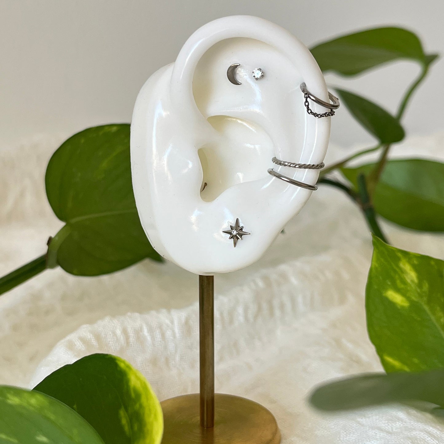 Northern Sky Ear Styling – Full Curated Look in Titanium Or PVD Gold