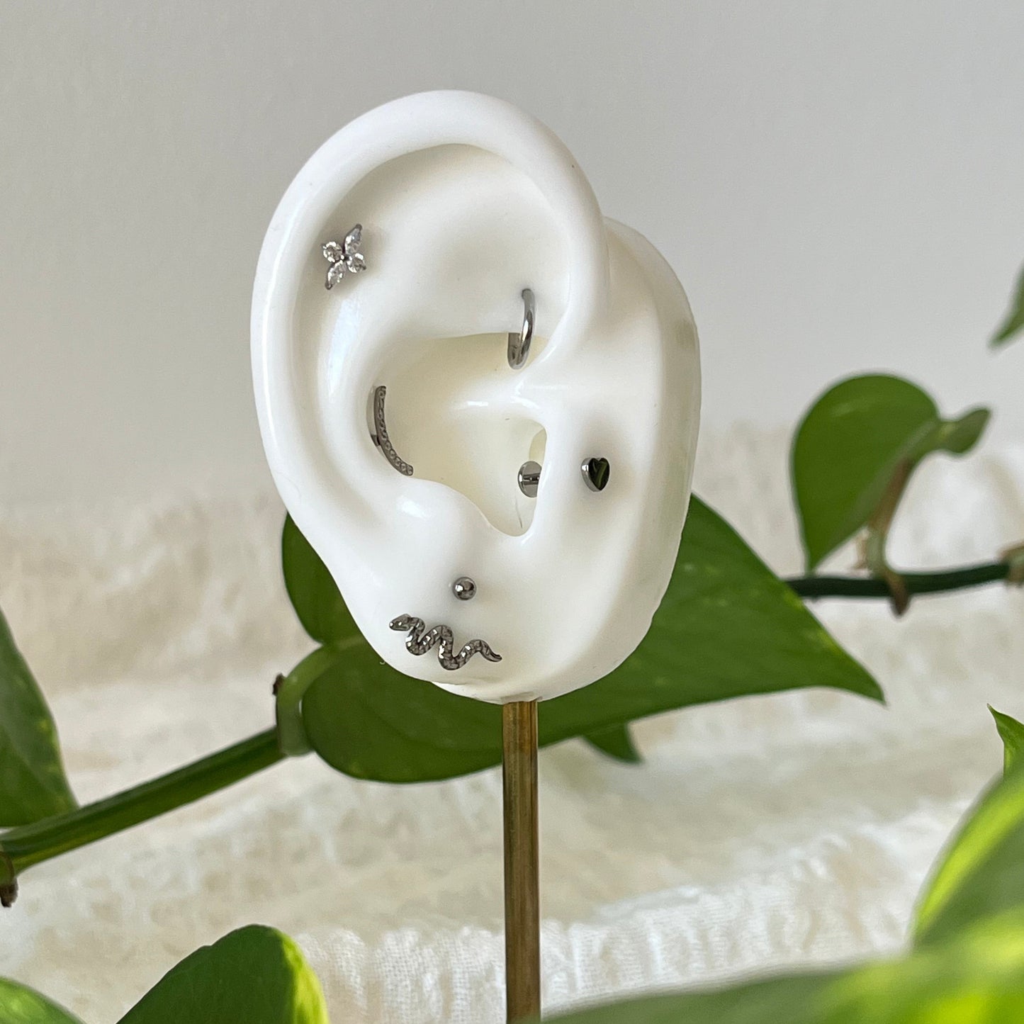 Ophilia Ear Curation