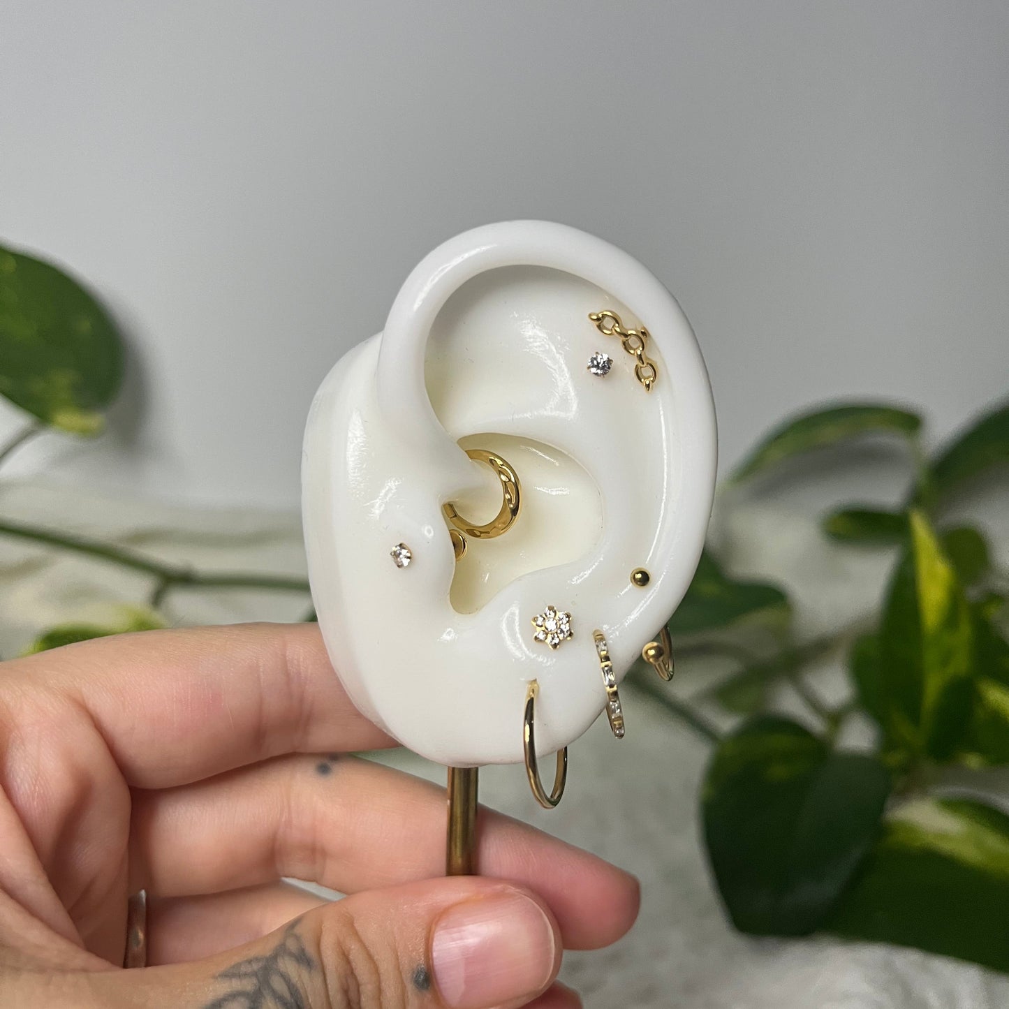 Unchained Ear Curation