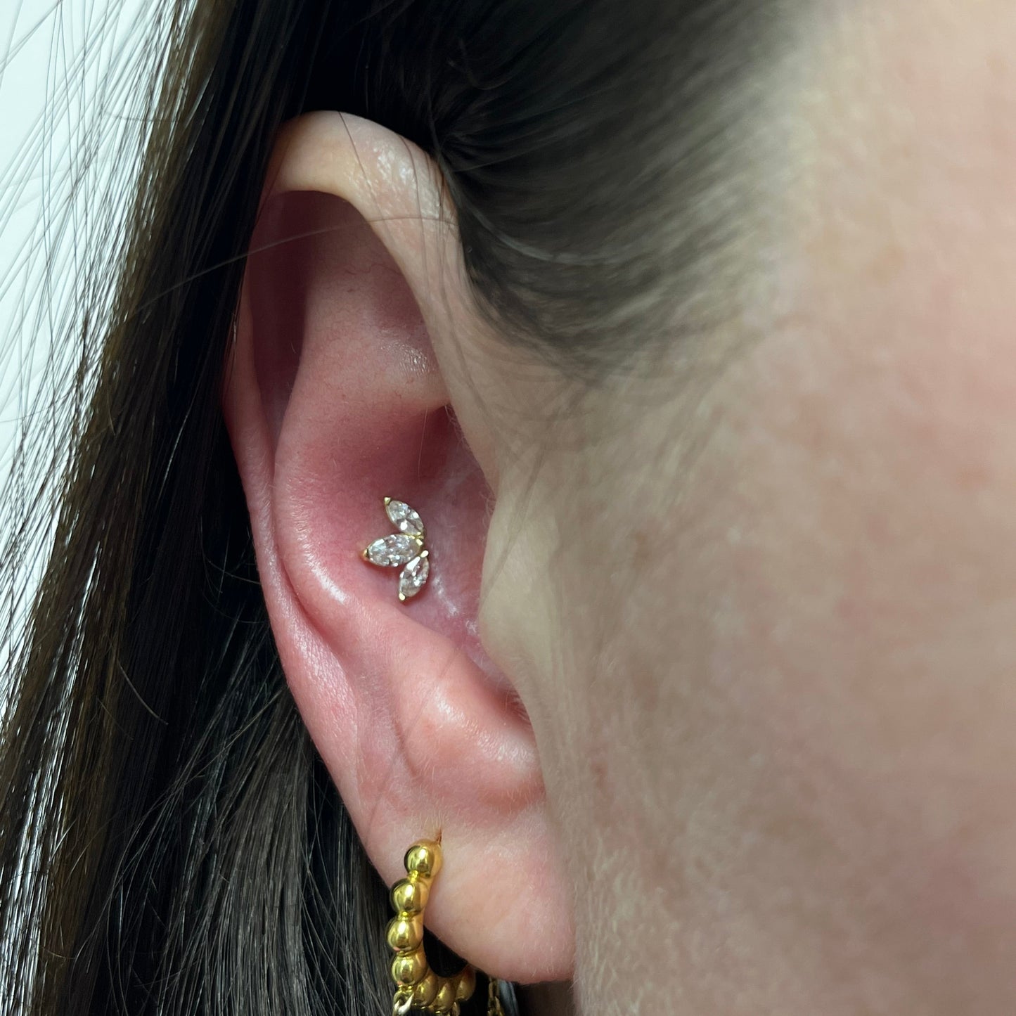 Ear Piercing Service // Perforación de Orejas