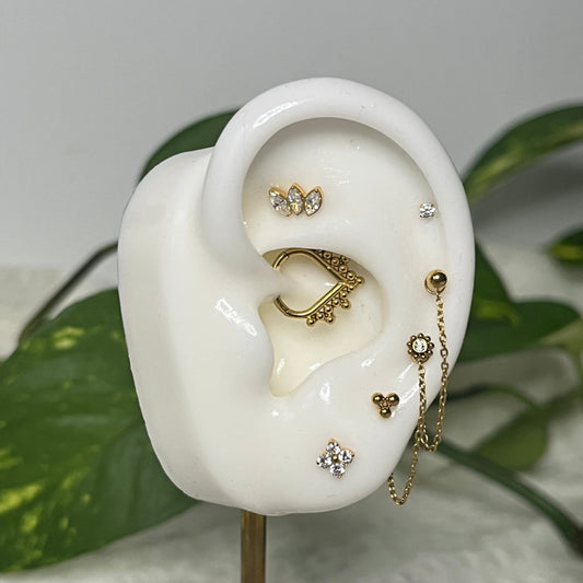 Sacred Alignment Ear Curation – Piercing Jewelry Look in Titanium or PVD Gold