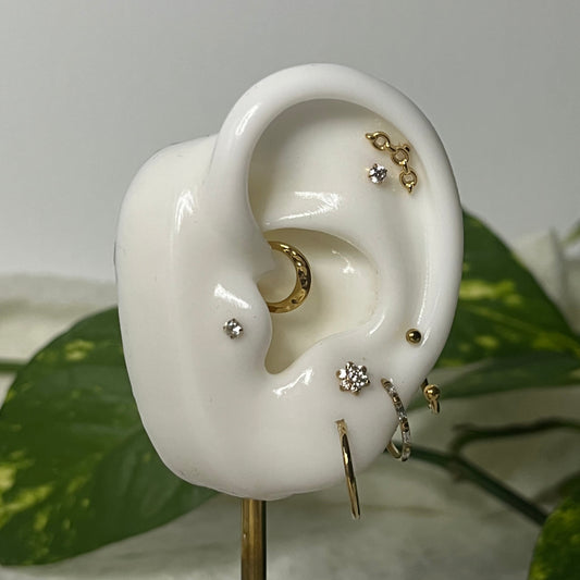 Unchained Ear Curation