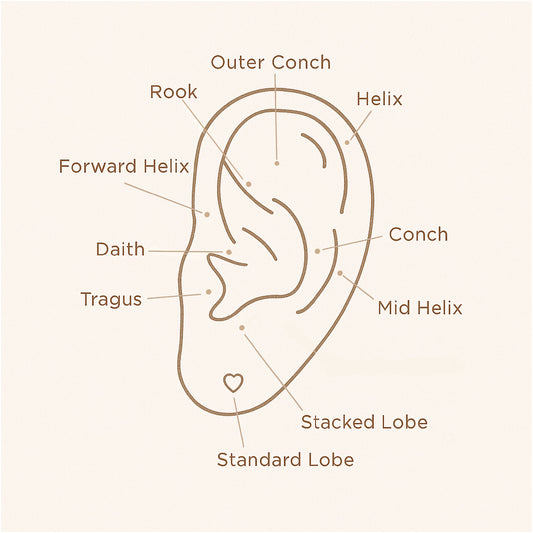Ear Piercing Service // Perforación de Orejas