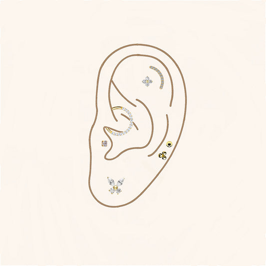 Ear Styling // Diseño de Oreja